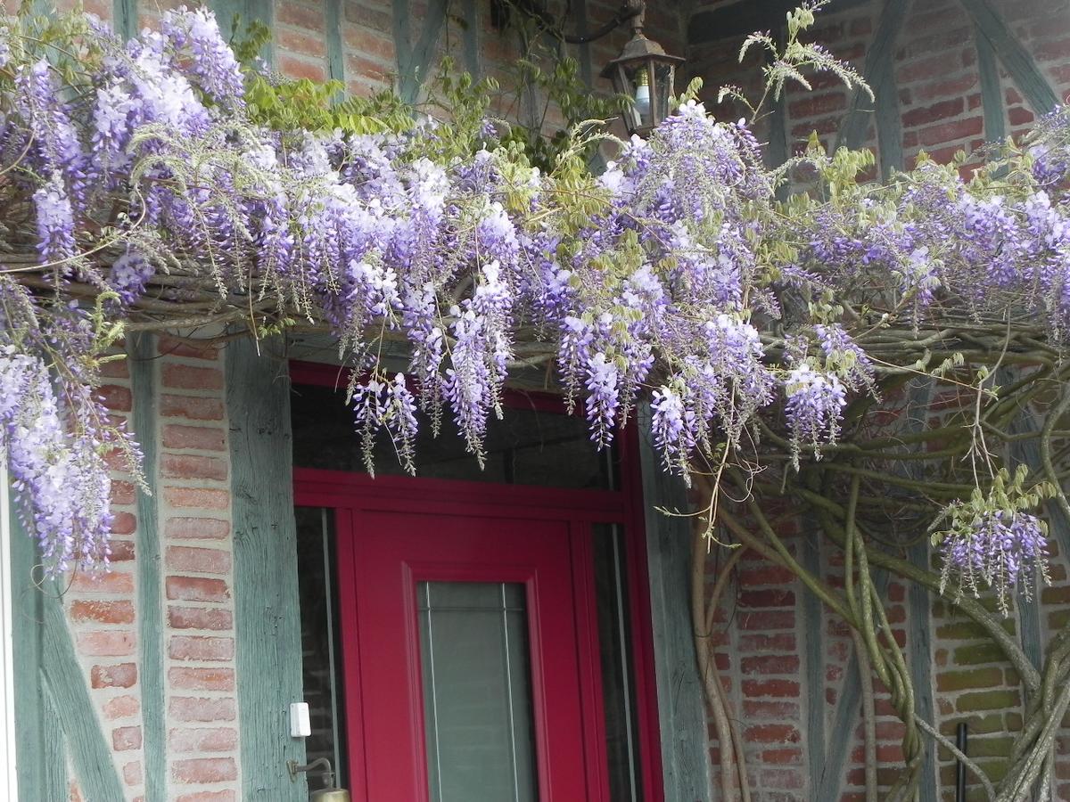 L'Escapade Bed and Breakfast Foulbec Eksteriør billede